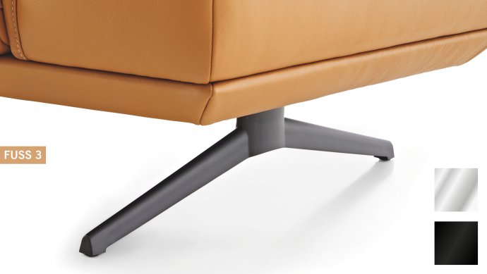 Koinor elements fuss 3