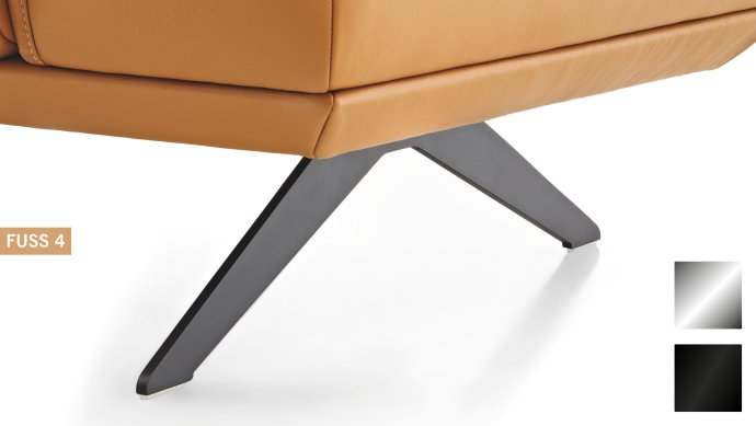 Koinor elements fuss 4