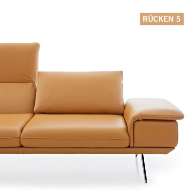 Koinor elements ruecken 5 n