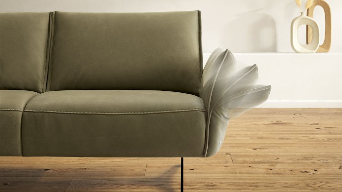 Koinor vineto 11