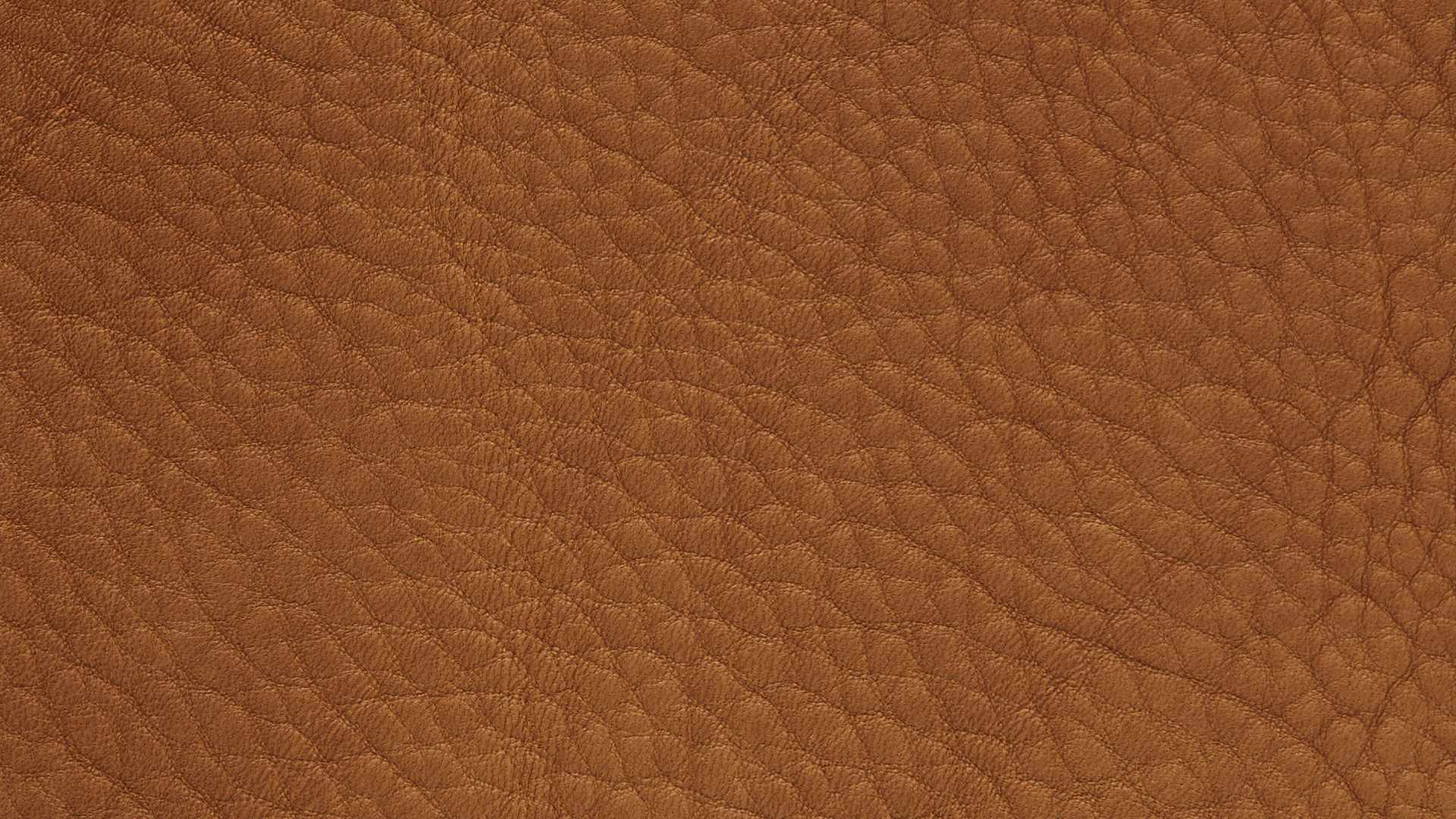 KOINOR Polstermöbel GmbH & Co. KG - Dining-Kollektion